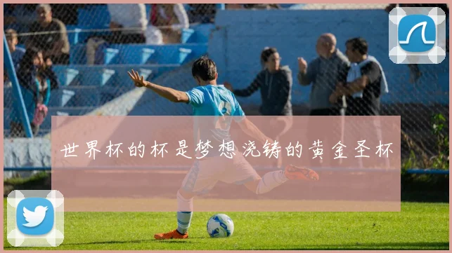 世界杯的杯是梦想浇铸的黄金圣杯