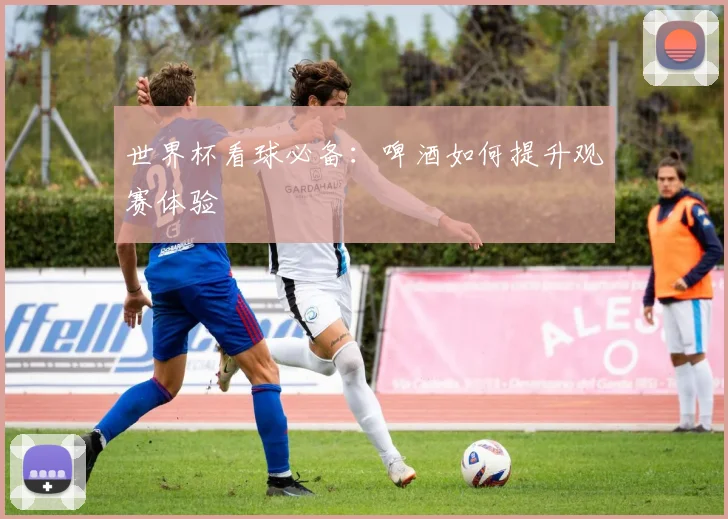 世界杯看球必备:啤酒如何提升观赛体验