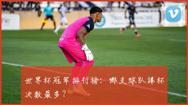 世界杯冠军排行榜:哪支球队捧杯次数最多?