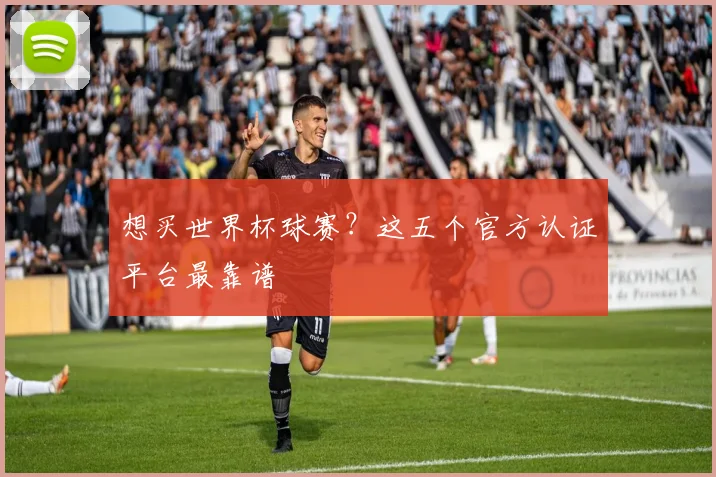 想买世界杯球赛？这五个官方认证平台最靠谱