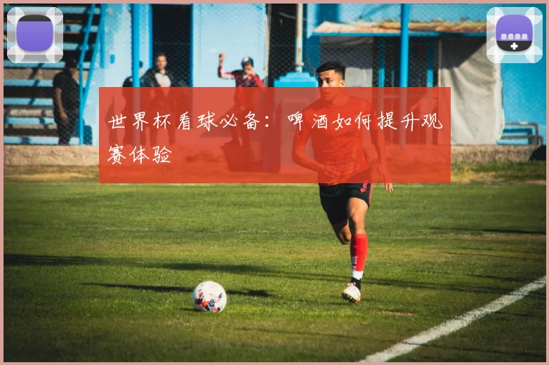 世界杯看球必备:啤酒如何提升观赛体验