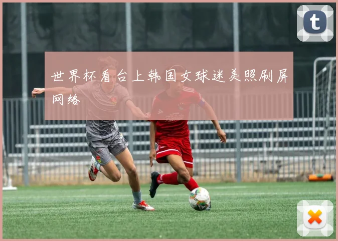 世界杯看台上韩国女球迷美照刷屏网络