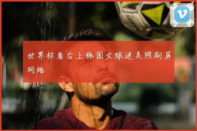 世界杯看台上韩国女球迷美照刷屏网络